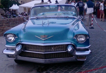 Photo-0085