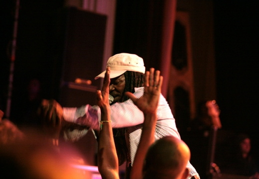 IMG 8686