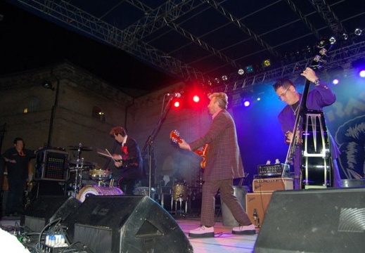25 - Stray Cats