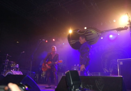 28 - Stray Cats