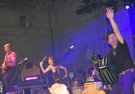 30 - Stray Cats