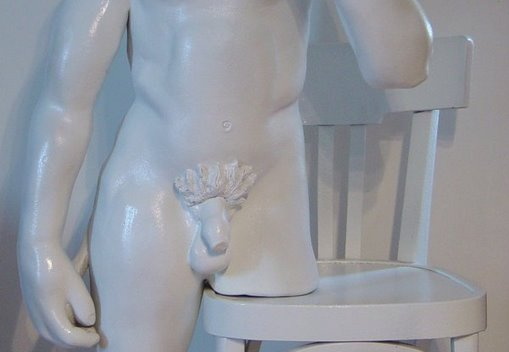 david