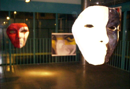 Oriana Valesi - Installazione - Primario In-Conscio 1