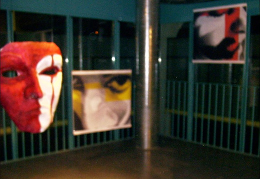 Oriana Valesi - Installazione - Primario In-Conscio 2