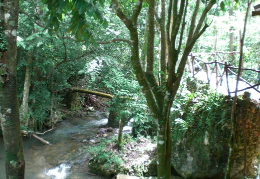 CudielASantoDomingo018