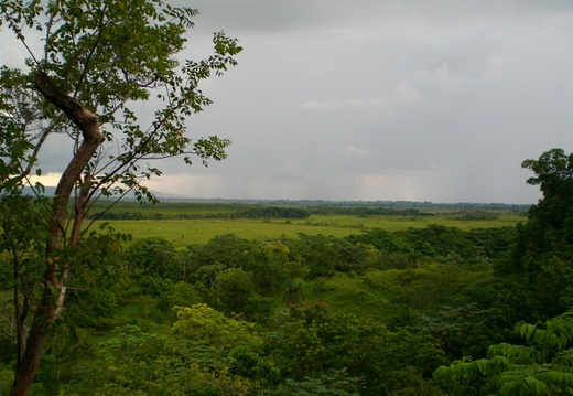 CudielASantoDomingo019