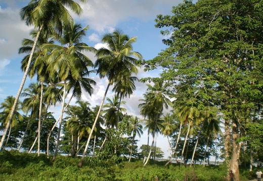 CudielASantoDomingo059