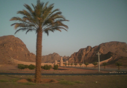 CIMG4397